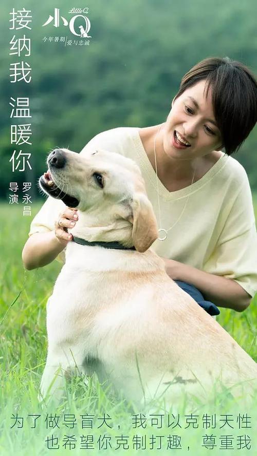 怎么做假日本关西医疗大学文凭毕业证